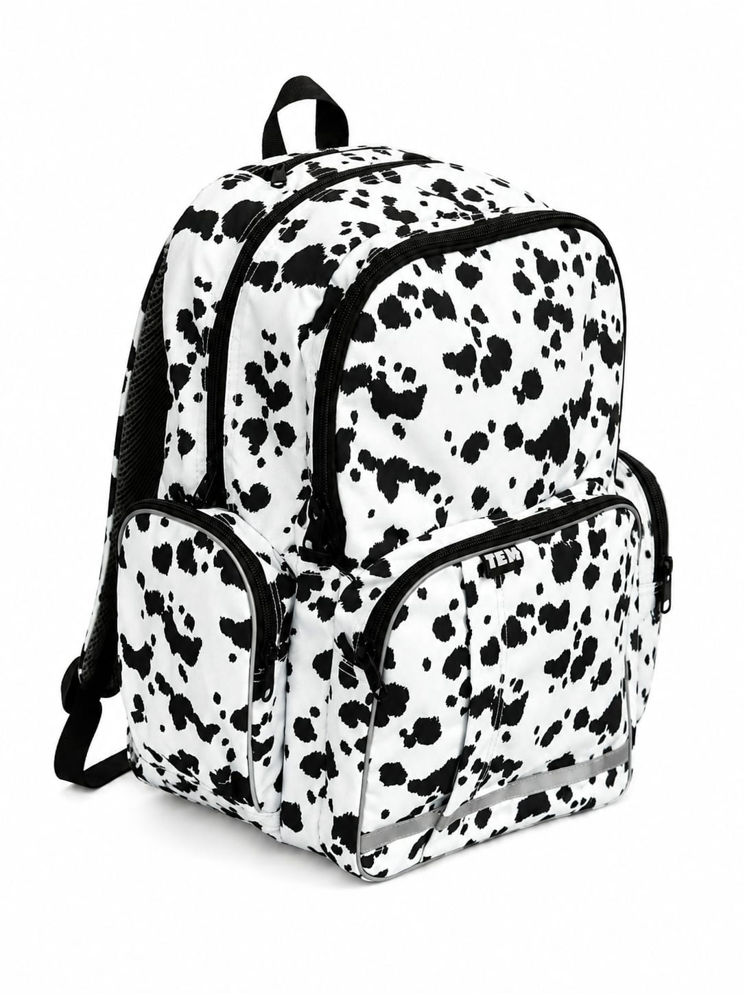 Large Pag-asa Black and White Holstein