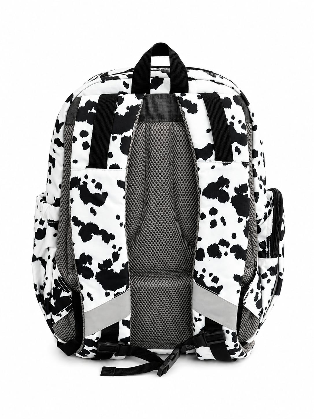 Large Pag-asa Black and White Holstein